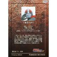 Trading Card - Kamen Rider