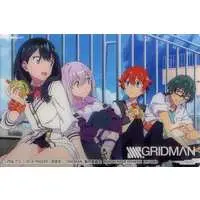 Trading Card - SSSS.Gridman