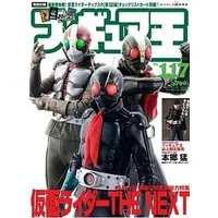 Book - Kamen Rider The Next