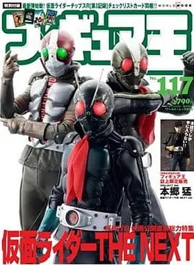 Book - Kamen Rider The Next