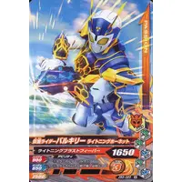 Ganbarizing - Kamen Rider Zero-One / Kamen Rider Valkyrie