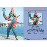 Trading Card - Kamen Rider