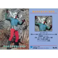 Trading Card - Kamen Rider