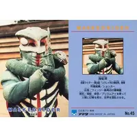 Trading Card - Kamen Rider