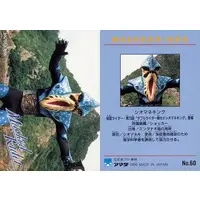 Trading Card - Kamen Rider / Siomaneking