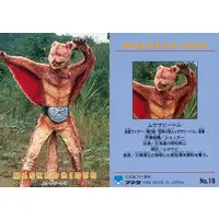 Trading Card - Kamen Rider