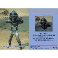 Trading Card - Kamen Rider