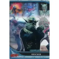 Trading Card - Kamen Rider