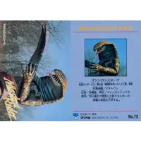 Trading Card - Kamen Rider