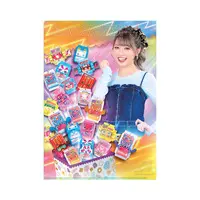 Plastic Folder - Kamen Rider Gavv / Sachika Amane & Gochizo