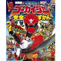 Book - Kaizoku Sentai Gokaiger