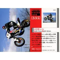 Calbee Kamen Rider Chips - Kamen Rider The Next