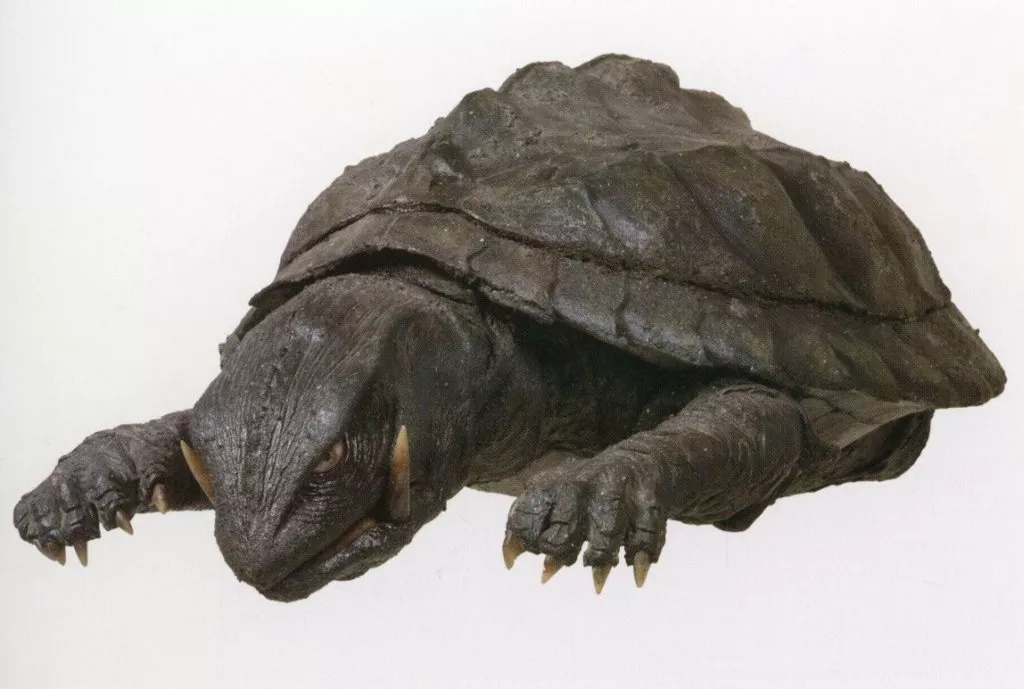 Postcard - Gamera the Guardian of the Universe