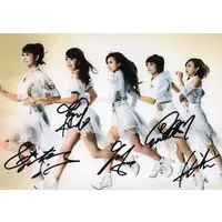 Portrait - Kamen Rider Girls