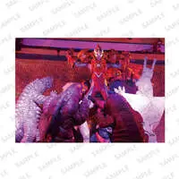 Portrait - Ultraman Zero Series