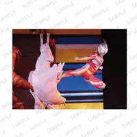 Portrait - Ultraman Zero Series