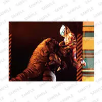 Portrait - Ultraman Zero Series