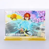 Premium Bandai Limited - Ride Kamens