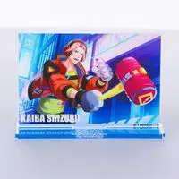 Premium Bandai Limited - Ride Kamens