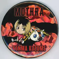Badge - Godzilla / Mothra