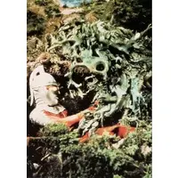 Trading Card - Ultraseven / Ultraseven & Alien Waiell