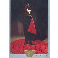 Trading Card - Kamen Rider Stronger