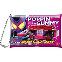 Pouch - Kamen Rider Gavv