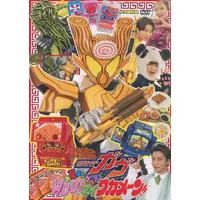 DVD - Kamen Rider Gavv