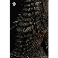 Figure - Ultraman / Gango