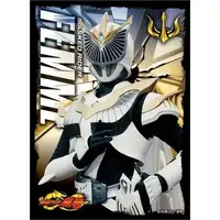 Trading Card Supplies - Card Sleeves - Kamen Rider Ryuki / Kamen Rider Femme