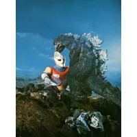 Trading Card - Godzilla vs. Megalon / Gigan & Megalon