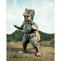 Trading Card - Ultraman Leo