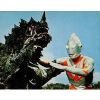 Trading Card - Ultraman / Magular