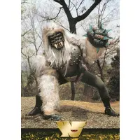 Trading Card - Kamen Rider (Skyrider)
