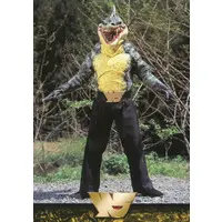 Trading Card - Kamen Rider (Skyrider)