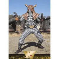 Trading Card - Kamen Rider (Skyrider)