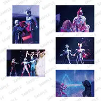 Portrait - Ultraman Zero Series