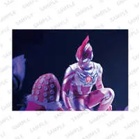 Portrait - Ultraman Zero Series