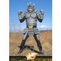 Trading Card - Kamen Rider (Skyrider)