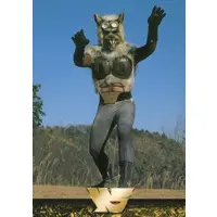 Trading Card - Kamen Rider (Skyrider)