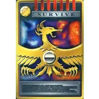 Trading Card - Kamen Rider Ryuki