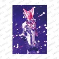 Portrait - Ultraman Zero Series