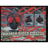 Figure - Kamen Rider Amazon / Kamen Rider Amazon (Character)