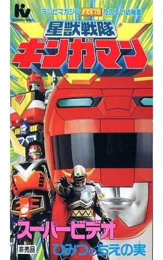 VHS - Seijuu Sentai Gingaman