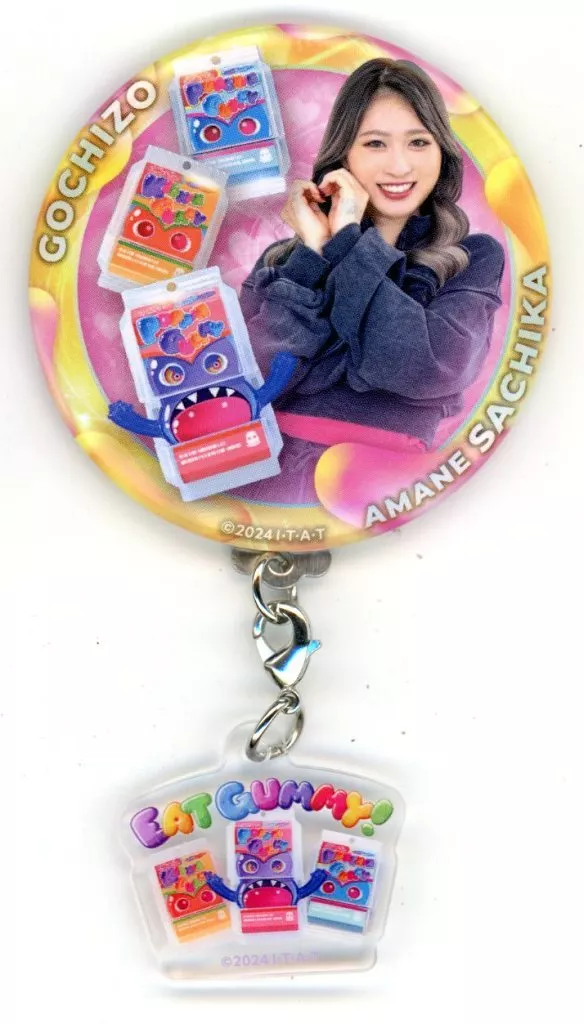 Badge - Kamen Rider Gavv / Gochizo & Sachika Amane