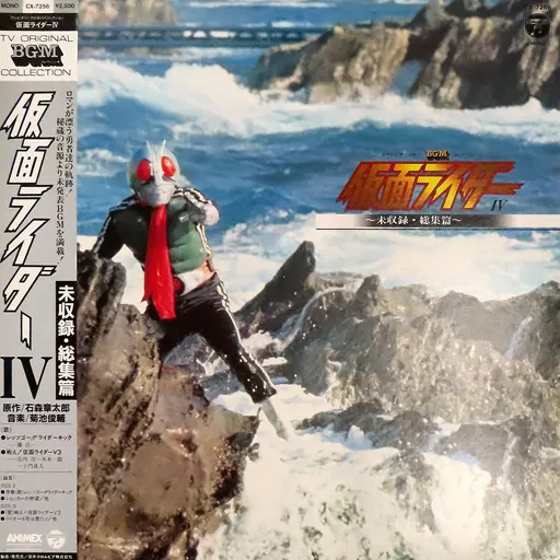 Vinyl - Kamen Rider