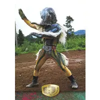 Trading Card - Kamen Rider V3