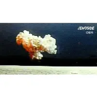 Trading Card - Genocide (Konchu daisenso)