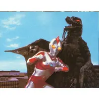 Trading Card - Ultraman 80