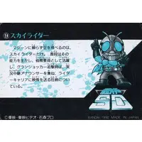 Trading Card - Kamen Rider (Skyrider) / Skyrider (Character)